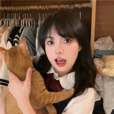 彩叶草之梦