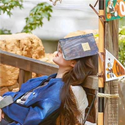 基督山之子