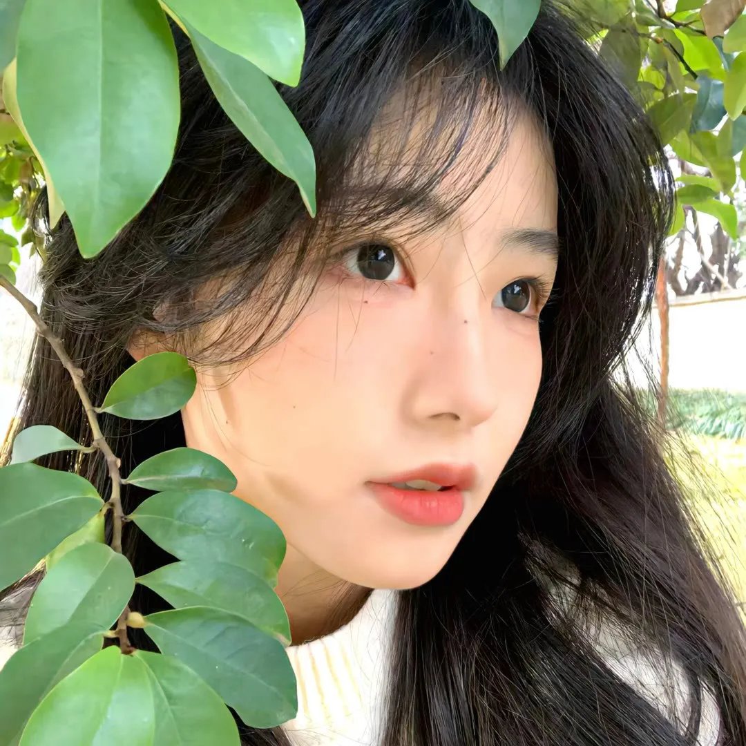 爱情呼叫转移